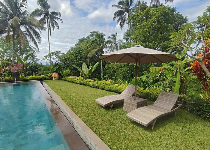 Atik, Spacious Jungle