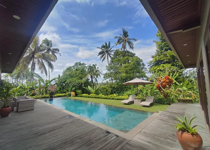Atik, Spacious Jungle