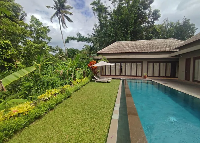 Atik, Spacious Jungle *